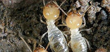 ��������������/���ښ��x��˾/�����а�ρ����/�����Ќ��I���x��˾/���x